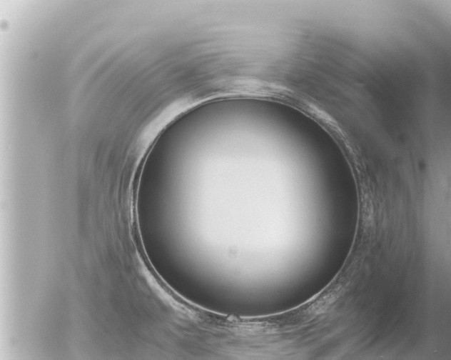 X0000056001479200508261737