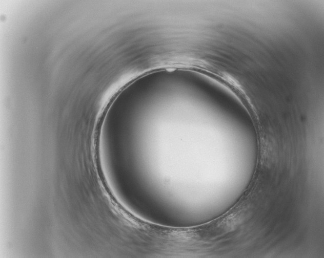 X0000056001480200508261737