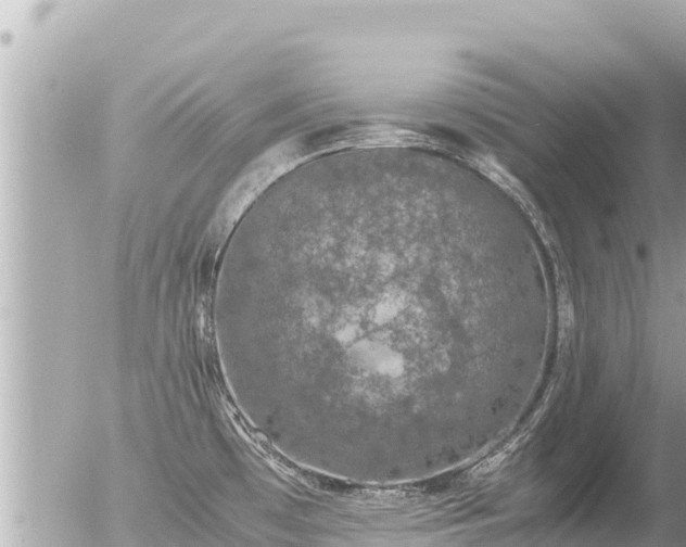 X0000056001481200508261737