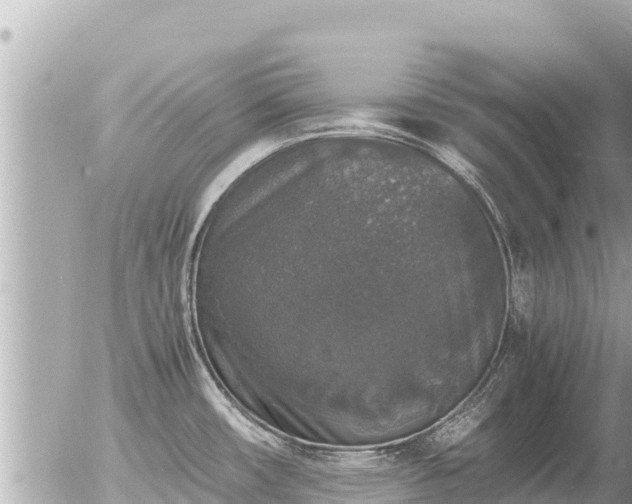 X0000056001482200508261737