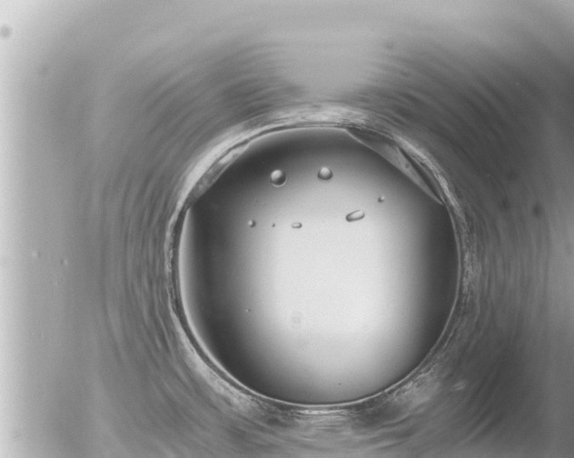 X0000056001483200508261737