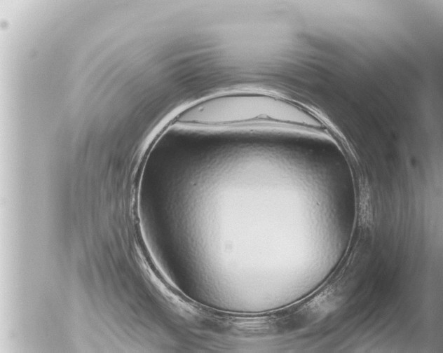 X0000056001484200508261737