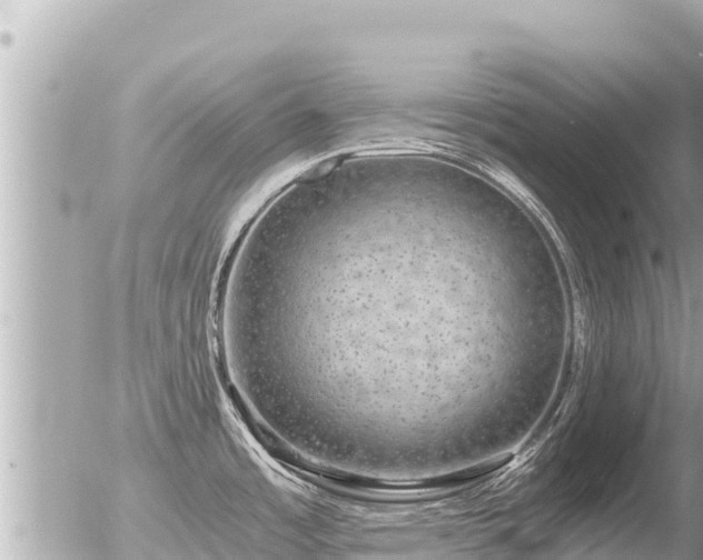 X0000056001485200508261737