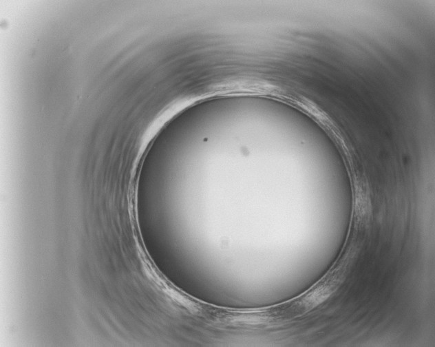 X0000056001486200508261737