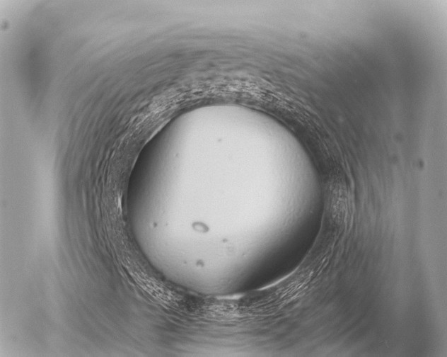 X0000056001489200508261736