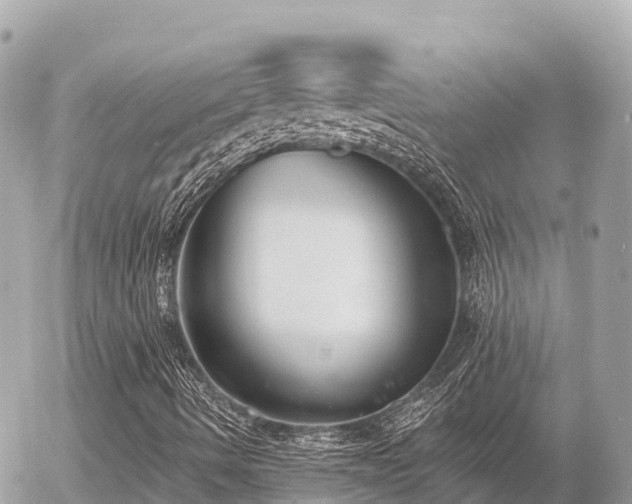 X0000056001490200508261736