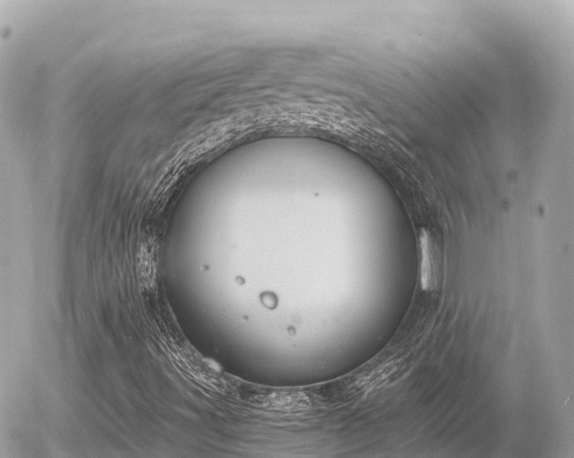 X0000056001491200508261736