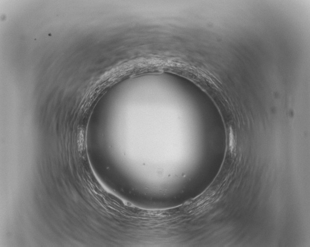 X0000056001492200508261736