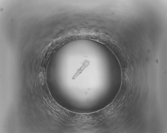 X0000056001493200508261736