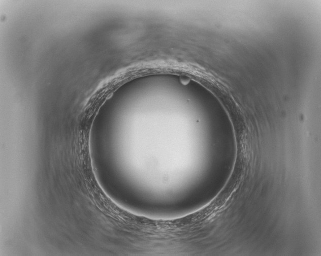 X0000056001494200508261736