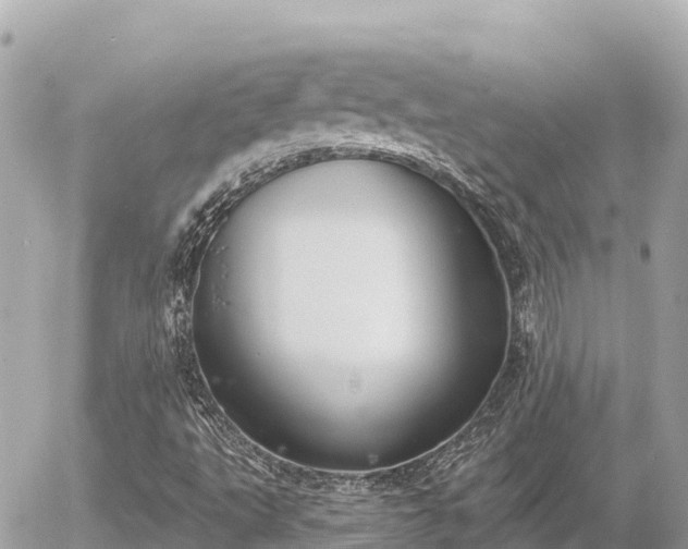 X0000056001495200508261736