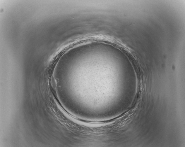 X0000056001496200508261736