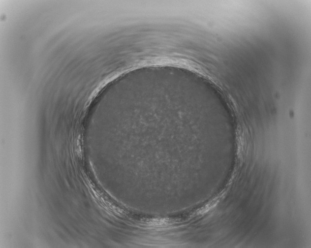 X0000056001497200508261736