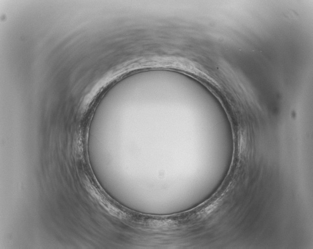 X0000056001498200508261736