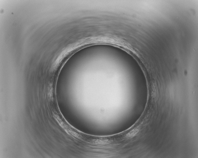 X0000056001499200508261736