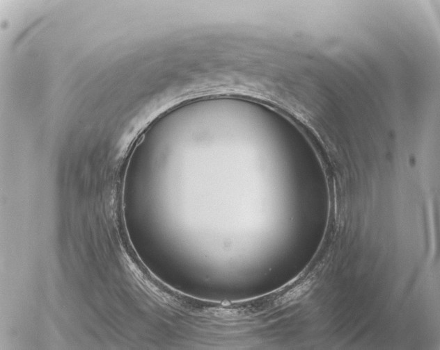 X0000056001500200508261736