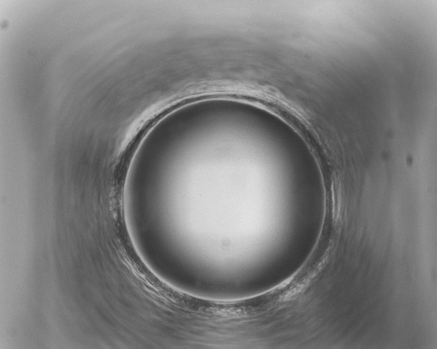 X0000056001501200508261736