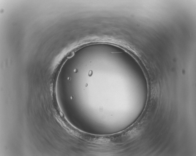 X0000056001503200508261736