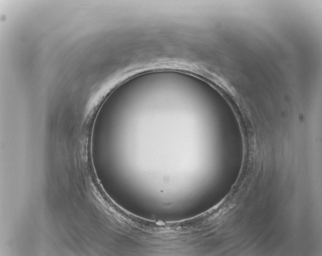 X0000056001504200508261736