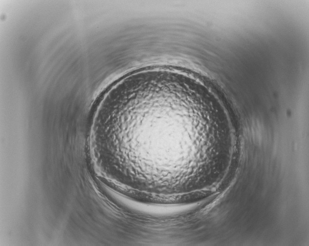 X0000056001505200508261736