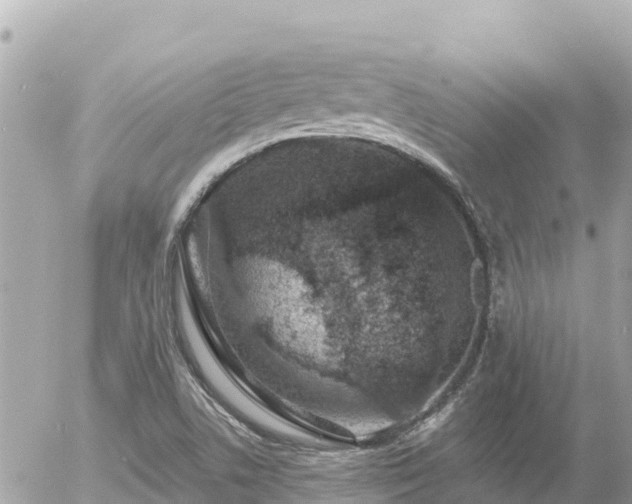 X0000056001506200508261736