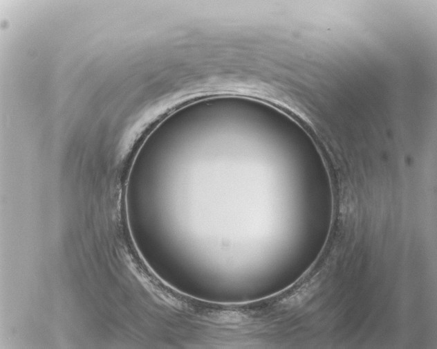 X0000056001507200508261736