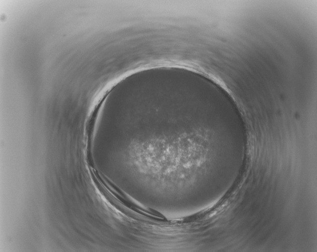 X0000056001508200508261736