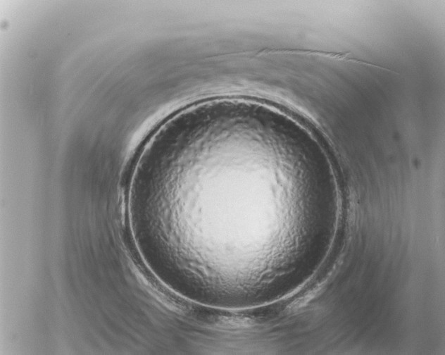 X0000056001509200508261736