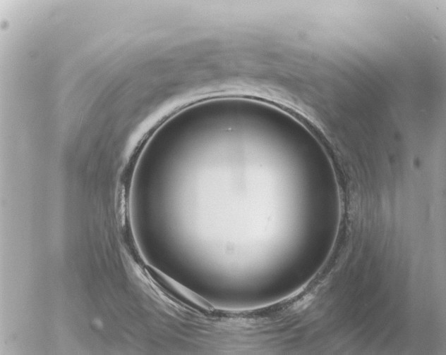 X0000056001510200508261736