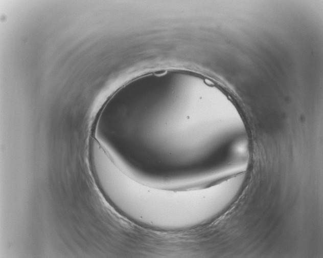 X0000056001512200508261736