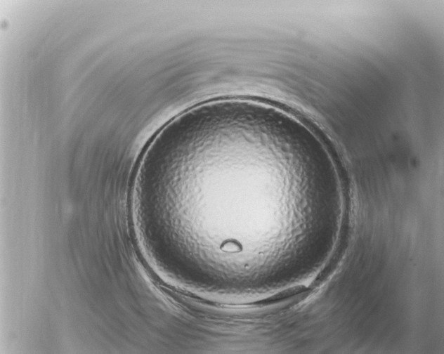 X0000056001513200508261736