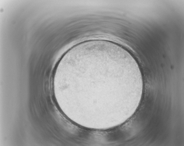 X0000056001514200508261736