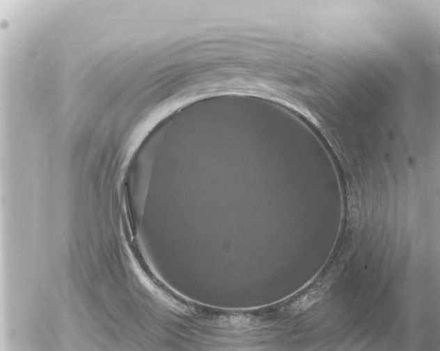 X0000056001515200508261736