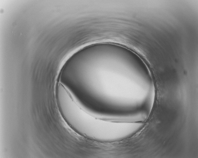 X0000056001516200508261736