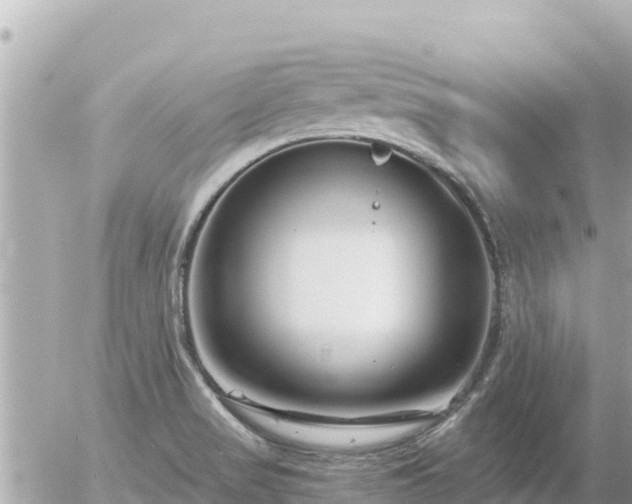 X0000056001517200508261736