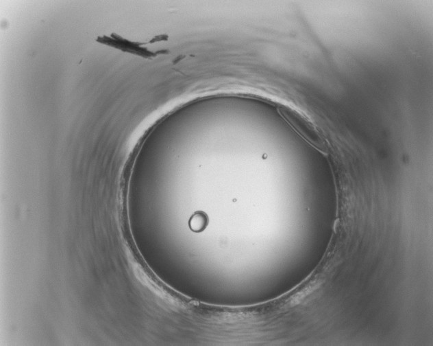 X0000056001518200508261736