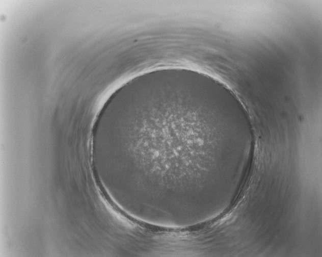 X0000056001519200508261737