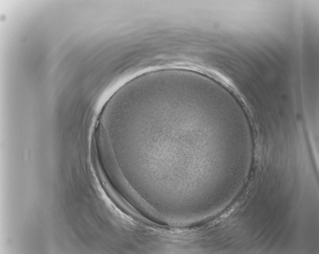 X0000056001520200508261737