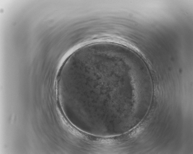 X0000056001522200508261737