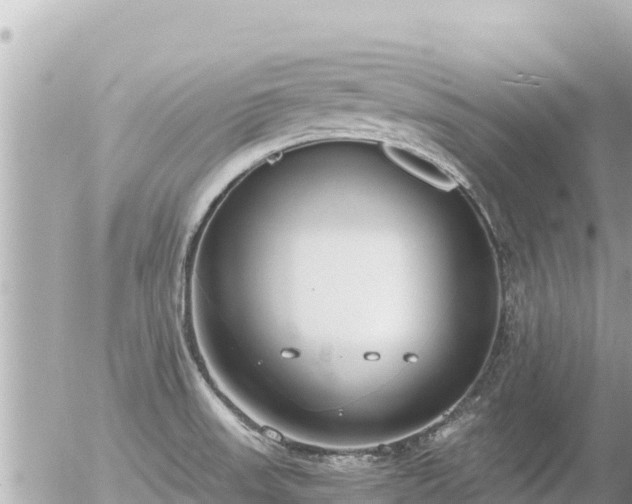 X0000056001523200508261737