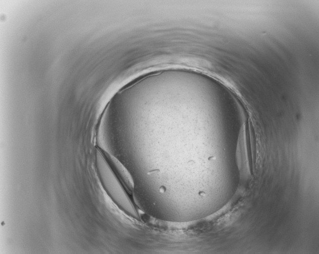 X0000056001524200508261737