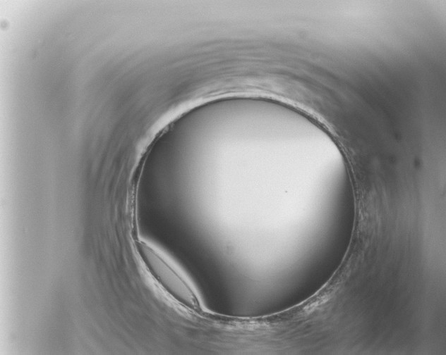 X0000056001526200508261737