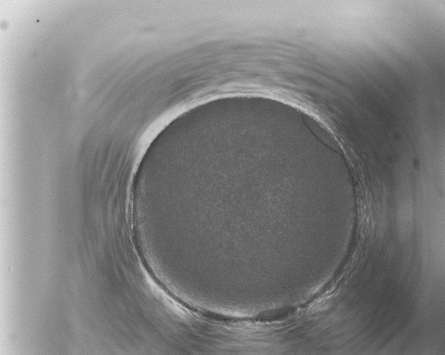 X0000056001527200508261737