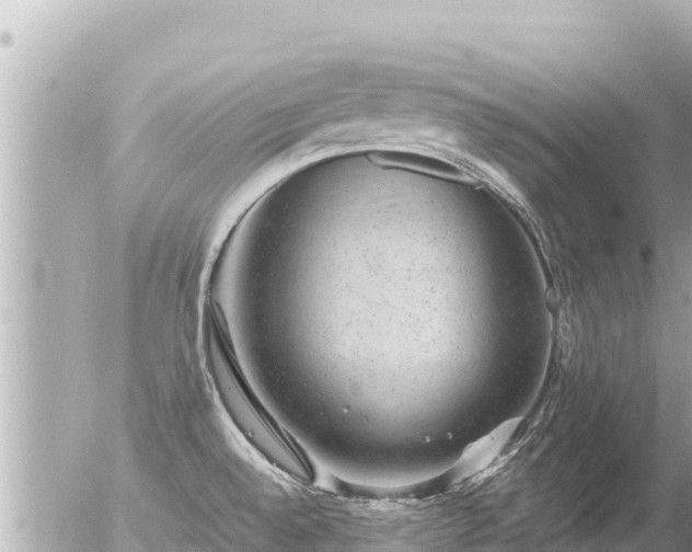 X0000056001528200508261737