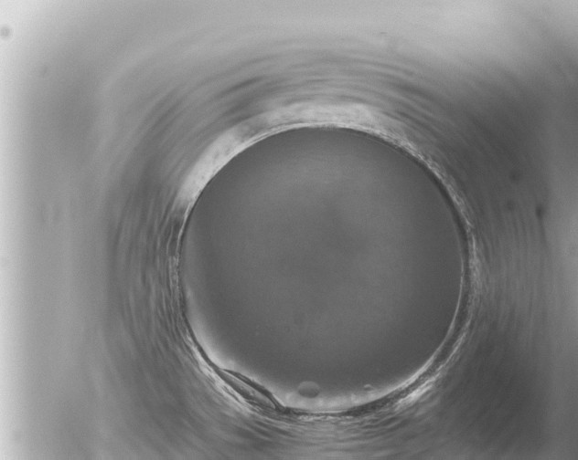 X0000056001529200508261737