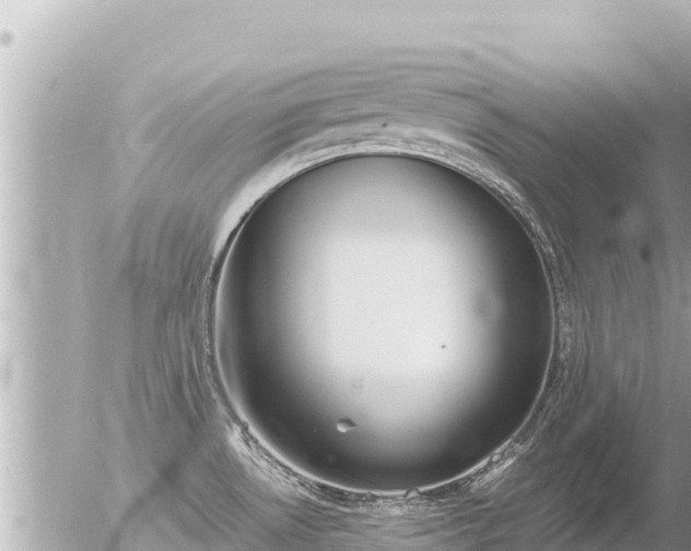 X0000056001530200508261737