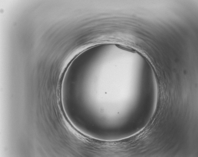 X0000056001531200508261737