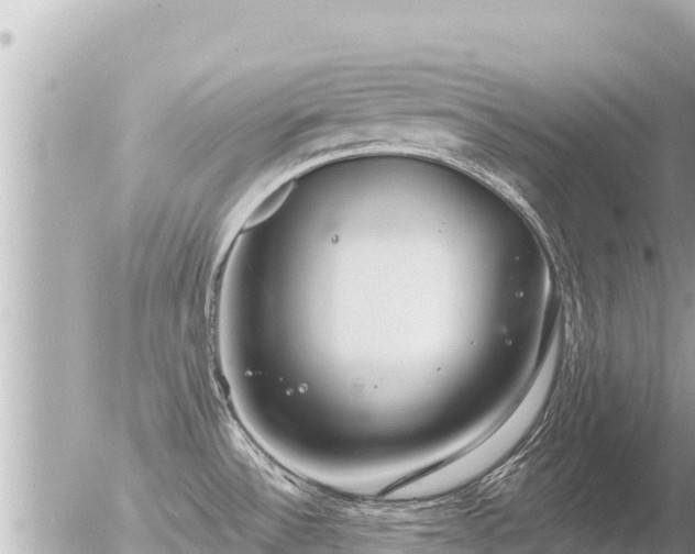 X0000056001532200508261737