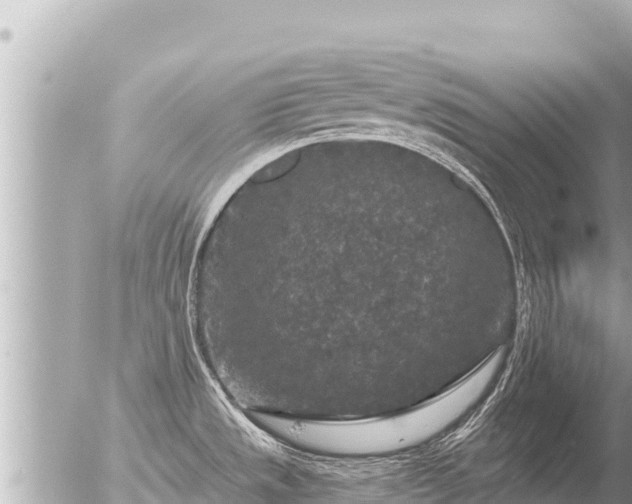 X0000056001533200508261737