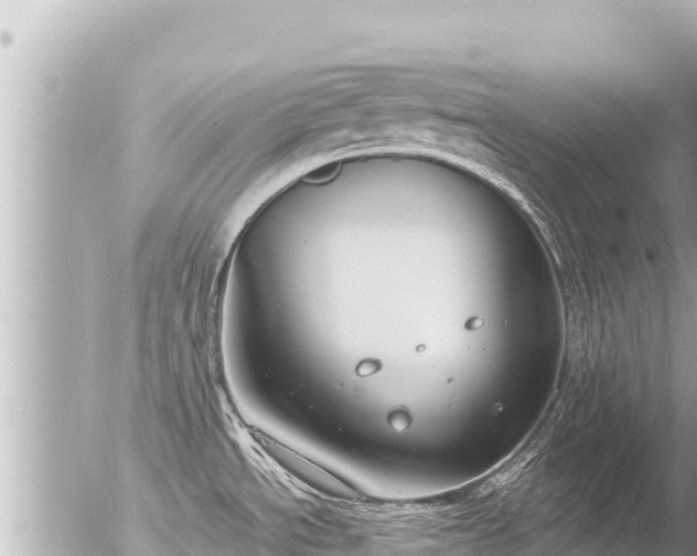 X0000056001534200508261737